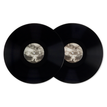 Load image into Gallery viewer, IT'S ONLY ME 2LP VINYL